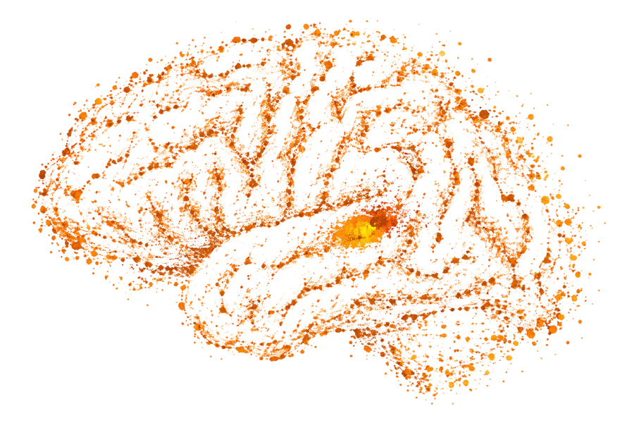 Source localization mapping of brain activity